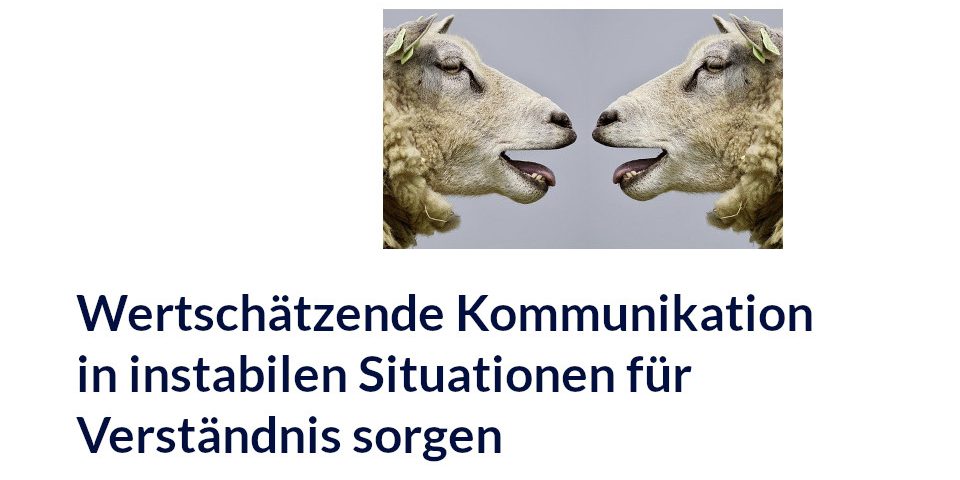 zwei Schafe unterhalten sich - wertschätzende Kommunikation