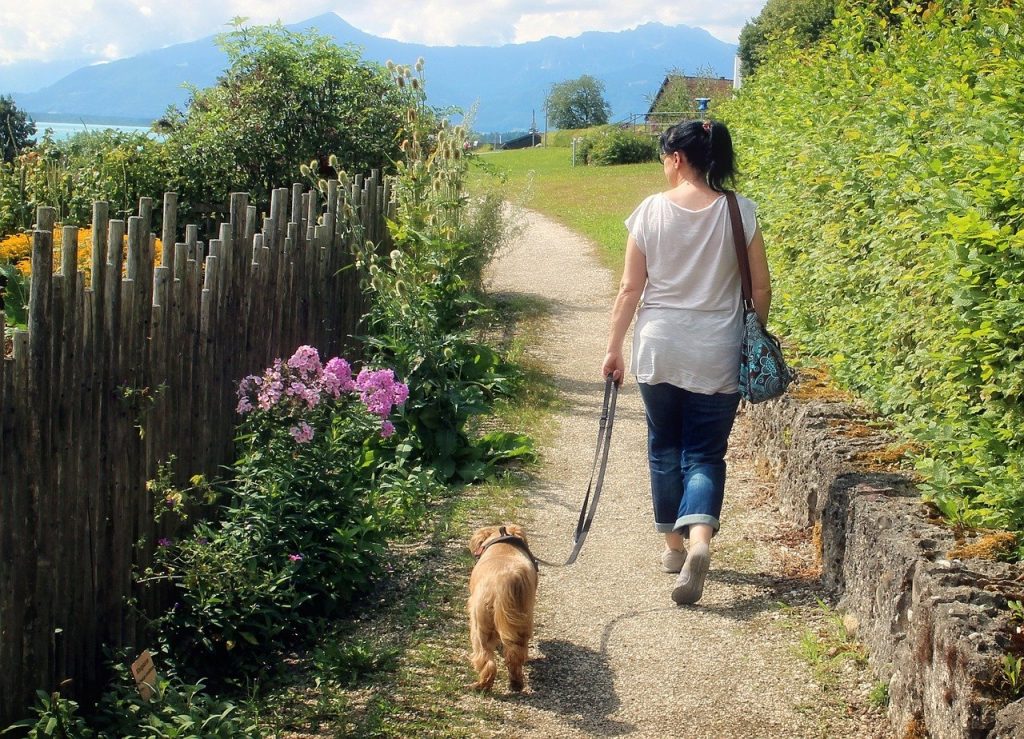Frau mit Hund spaziert im Grünen, wie wäre es mal mit einer anderen Route beim spazieren gehen?